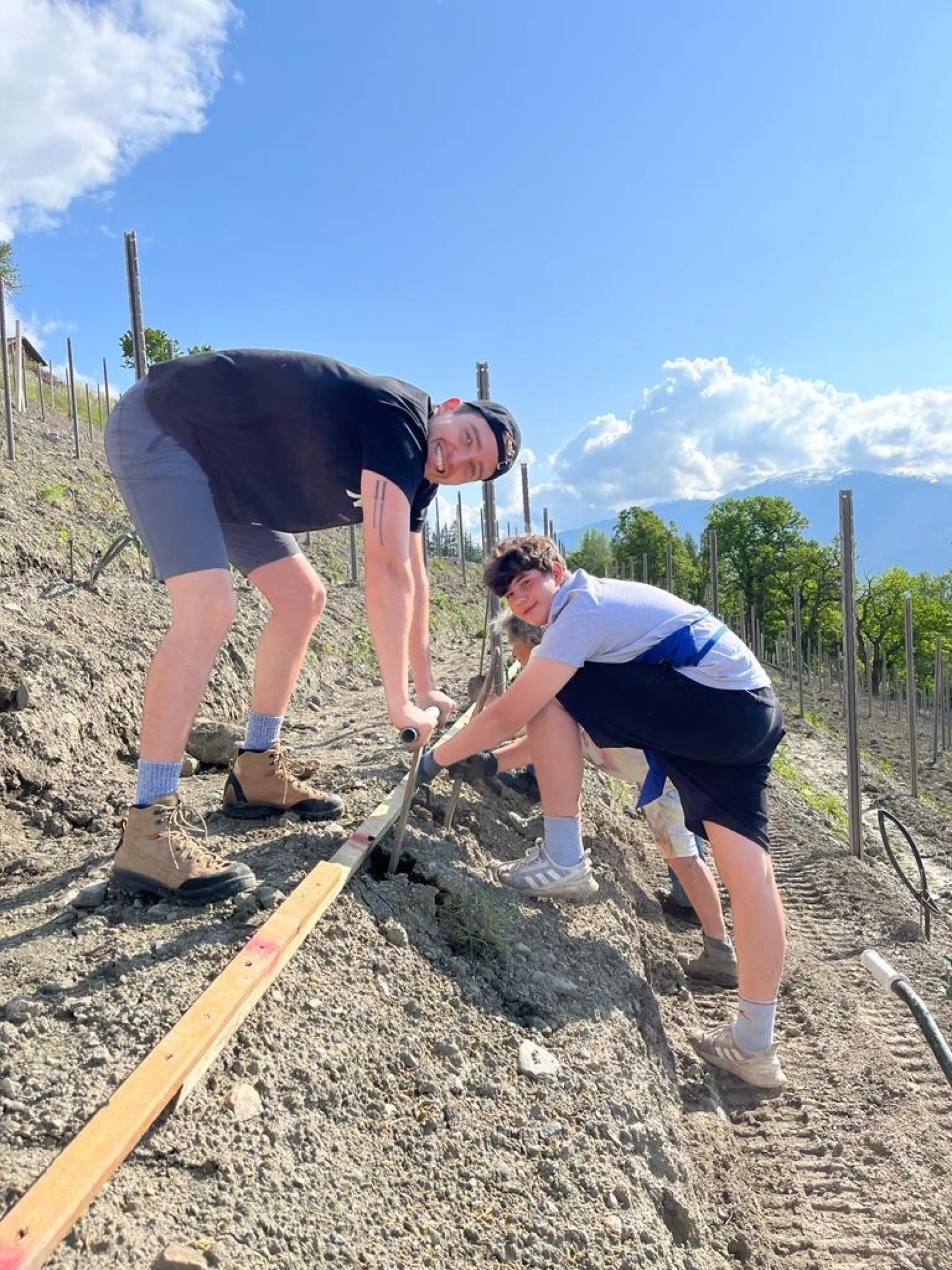 Handarbeit im Weinberg — Pflanzung am Steilhang