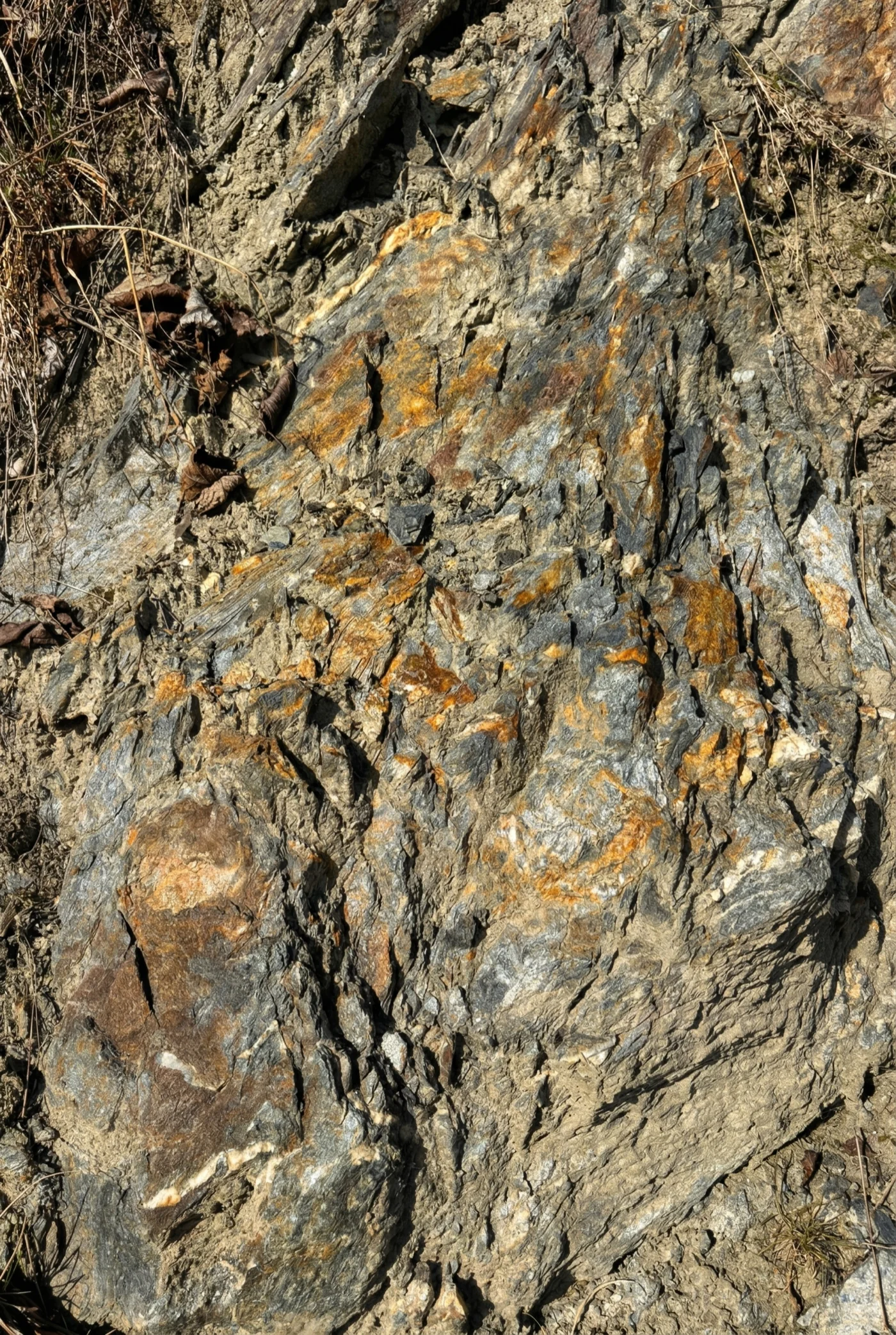 Schiefergestein im Weinberg — Terroir des Südhang